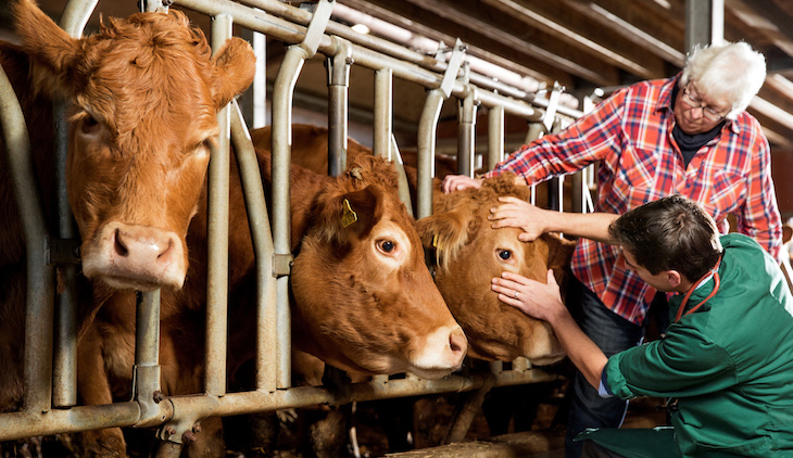 Bayer sell Animal Health unit