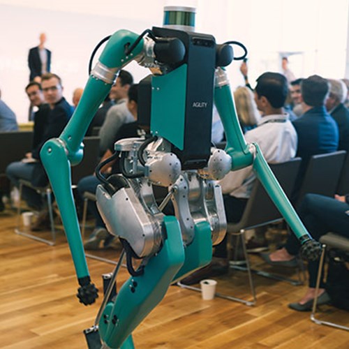 Robots, automation and AI, oh my!
