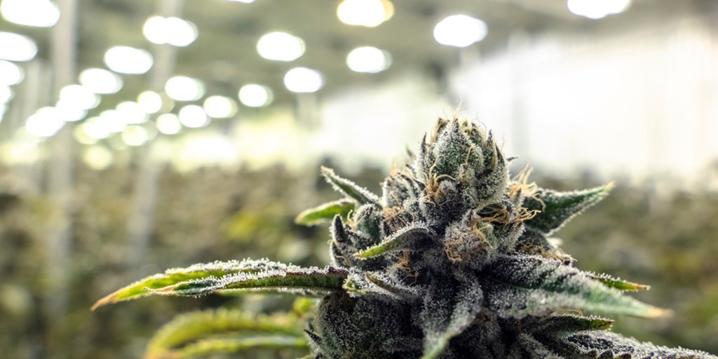 Investing in Ohio’s medical marijuana industry