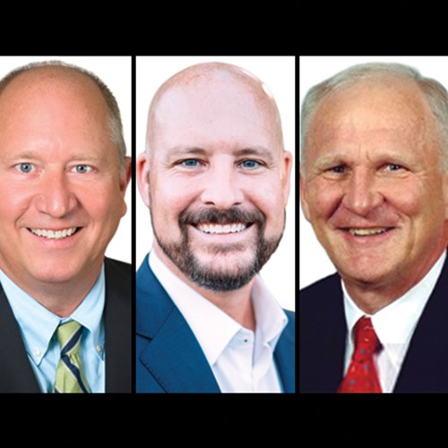 Transition strategies within family businesses